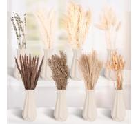 HOMIKLSA Pampas Géant - Déco Boho Chic avec Fleurs Séchées DIY, Décoration Fenêtre & Salon pour Mariage Champêtre, Idées de Table Provençale Naturelle