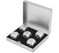 Hominas Dés en Alliage D'aluminium, 5 Pièces Dés en Métal Portables Table Jeu Jeux De Poker Dés Set Argent pour Boire Un Jeu De Fête