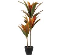 HOMLA ZONE TROPICALE Plante artificielle Dracaena 90 cm