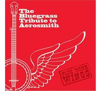 Hommage à Aerosmith - Bluegrass Tribute to Aerosmith