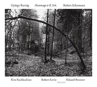 Hommage à Robert Schumann