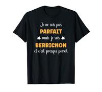 Homme Je ne suis pas parfait mais je suis berrichon T-Shirt