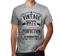 Homme Tee-Shirt - All Original Parts Aged To Perfection 1977 - 47 Ans T-Shirt Graphique Idée Cadeau 47e Anniversaire Vintage Année 1977 Nouveauté