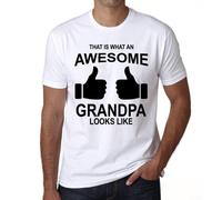 Homme Tee-Shirt C'est À Ça Que Ressemble Un Grand-Père Génial - That Is What An Awesome Grandpa Looks Like - T-Shirt Graphique Éco-Responsable Vintage Cadeau Nouveauté