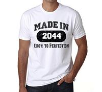 Homme Tee-Shirt Grandir À La Perfection en 2044 - Grow to Perfection Made in 2044 - T-Shirt Vintage Cadeau Nouveauté Blanc 4XL