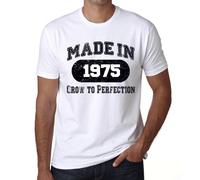 Homme Tee-Shirt Grandir À La Perfection Fabriqué En 1975 - Grow To Perfection Made In 1975 - 49 Ans T-Shirt Graphique Idée Cadeau 49e Anniversaire Vintage Année 1975 Nouveauté