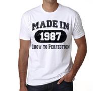 Homme Tee-Shirt Grandir À La Perfection Fabriqué En 1987 - Grow To Perfection Made In 1987 - 37 Ans T-Shirt Graphique Idée Cadeau 37e Anniversaire Vintage Année 1987 Nouveauté