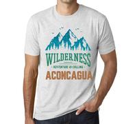 Homme Tee-Shirt La Nature Sauvage, L'aventure Appelle Aconcagua - Wilderness, Adventure Is Calling Aconcagua - T-Shirt Graphique Éco-Responsable Vintage Cadeau Nouveauté