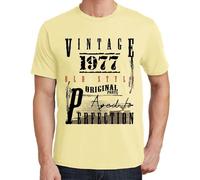 Homme Tee-Shirt Pièces Originales Vieillies À La Perfection 1977 - Original Parts Aged To Perfection 1977 - 47 Ans T-Shirt Graphique Idée Cadeau 47e Anniversaire Vintage Année 1977 Nouveauté