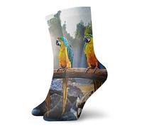 Hommes Femmes Chaussette Courte 30cm Perroquets Colorés Sur La Branche Coton Chaussettes Athlétiques Classiques Pour La Course À Pied Cadeaux De Remise En Forme