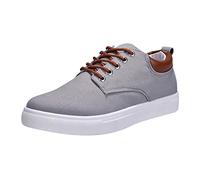 Hommes Low Top Canvas Chaussures de Marche à Lacets Fashion Casual Shoes Pantoufles Hiver Fille (Grey, 42)