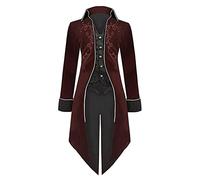 Hommes Médiéval Renaissance Rétro Uniforme Solide Couleur Steampunk Stand Col Redingote Mode Manteau