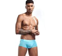 Hommes Slips Glace sans Couture Respirant Boxeur Briefs Transparent Confortable Taille Basse Culottes (FR/ES, Alpha/Lettres, L, Taille Normale, Taille Normale, Bleu Ciel)