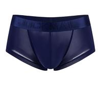 Hommes Slips Glace sans Couture Respirant Boxeur Briefs Transparent Confortable Taille Basse Culottes (FR/ES, Alpha/Lettres, L, Taille Normale, Taille Normale, Bleu au trésor)
