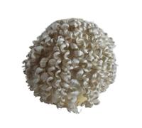 Hommes Toupet Toupet en dentelle complète for hommes, remplacement de vrais cheveux humains, postiche bou 60 white color)
