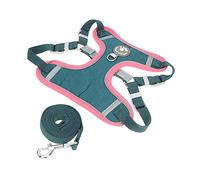 HOMOBABE 1 Ensemble Harnais pour Chien Réfléchissant Ajustable Gilet de Promenade avec Laisse Accessoires pour Canicross et Activités Extérieures Convient Aux Chiens de Moyenne à Vert