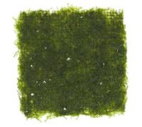 HOMOBABE Mousse De Décoration pour Aquarium Accessoires De Paysage Aquatique Plantes Artificielles Miniatures Mousse Idéales pour Aménager Aquariums Et Bureaux