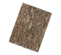 HOMOBABE Reptile Cork Terrarium Background Décor Naturel pour Terrarium Et Aquarium Matériel Écorce Créez Un Habitat Sain pour Et Autres Animaux