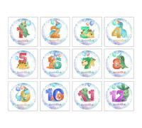 HOMOCONO Autocollants Étapes Importantes pour Bébé en Papier sans Odeur, 12 Pièces Pratiques pour Photographier la Croissance Lors de Shower