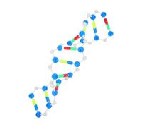 HOMOCONO Double Adn Outil Éducatif pour Enseignement Génétique Kit Étude pour Classes pour Projets Scientifiques Démonstrations Éducatives