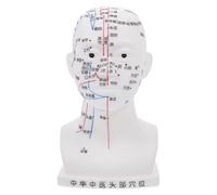 HOMOCONO Modèle D'acupuncture de Tête Médicale en Pvc Blanc Points D'acupuncture Précis, Aide Pédagogique pour Démonstrations en e Santé