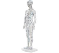 HOMOCONO Modèle de Points D'acupuncture Corporels Blanc en Plastique pour Formation Acupuncture Instructions de Localisation et Gestion Santé, Outil Pédagogique pour Professionnels