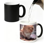 Homorro Mug Magique Cadeau pour Ami Humour Tasse qui Change de Couleur Chat