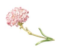 Homoyoyo 1 Pièce broche oeillet mariage décor pastel Broche de fleur de carnation Accessoire robe insigne à la mode broche fleur en émail broche en forme d'œillet broche femme alliage rose