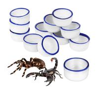 Homoyoyo 12 pièces Petit Bassin Céramique pour Eau et Nourriture Reptiles Mini Bol Boisson pour Arachnides et Petites Créatures Légers et Faciles à Nettoyer pour Terrariums et Aménagements