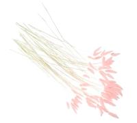 Homoyoyo 120 Queues de Lapin Séchées Naturelles Bouquet de Fleurs Séchées Rose 120 Pcs Décoration Végétale Artificielle pour Mariage Décoration Intérieure et DIY