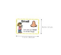 Homoyoyo 2 Ensembles Early Learning Flash Cards for and Preschoolers Cognitive Development and Sensory Learning Classroom Home Decor