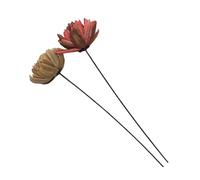 Homoyoyo 2 pièces Décoration Fleurs Séchées Ornements Naturels pour Maison et Photo Bouquet de Rose Poudré et Beige Accessoires Décoratifs Durables pour Mise Scène et Événements