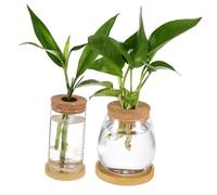 Homoyoyo 2 pièces Lot Vases Hydroponie Verre Borosilicate avec Couvercle Liège et Plateau Pots Propagation Plantes sans Terre pour Décoration Maison et Bureau