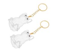 Homoyoyo 2 Pièces Porte-clés Souvenir Poils Chien Transparent Boîte Commémorative Capsule Claire Porte-Bijoux Mémo Poils Animaux Rangement Compact Pratique pour Mémoire Canine