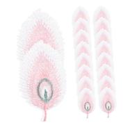 Homoyoyo 20 pièces Patches Brodés Plumes de Paon Colorées pour Vêtements et Petits Chapeaux Accessoires DIY Remplaçables Décoration Ethnique Unique