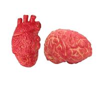 Homoyoyo 2Pcs Halloween Faux Organes Effrayants - Cerveaux Et Coeurs Sanglants en Mousse pour Décorations De Maison Hantée Et Pranks - Idéal pour Les Fêtes Halloween