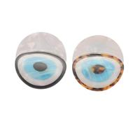 Homoyoyo 2pièces Clips à Cheveux Évil Eye Accessoires De Coiffure Et Pince à Cheveux Pratique Motif Évil Eye Pour Types