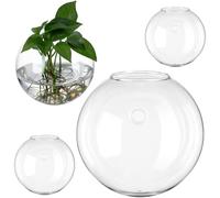 Homoyoyo 4 pièces Jardinières Murales Verre Transparentes pour Plantes Intérieur Station de Propagation Rondes Suspendues Décoration Murale Élégante pour Maison et Bureau