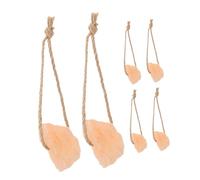 Homoyoyo 6 pièces Bloc de Sel Naturel Rose pour Animaux Riche en Éléments Trace Bloc Minéral pour Chevaux Bovins Cerfs et Lapins Favorise Santé et Système Immunitaire