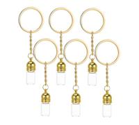 Homoyoyo 6 Pièces Mise en bouteille d'huiles essentielles mini clés de bouteille en verre mini flacons en verre porte-clés flacon en verre bouteille de voeux en verre Un verre Doré