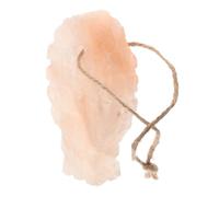 Homoyoyo Bloc à Lécher Sel Minéral Naturel Poisson, Brique de Sel pour Lapin et Hamster, Apport de Minéraux Essentiels, Jouet à Mâcher Suspendu, Alimentation Santé Petits Animaux