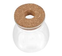 Homoyoyo Bocal Terrarium Verre Transparent Contenant Hydroponique pour Plantes Grasses Décoration Intérieur Moderne et Micro-Paysage Naturel