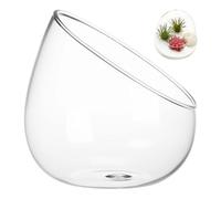 Homoyoyo Bol en Verre Taillé 250 ML pour Micro-Paysage Terrarium Couvercle Récipient Écologique pour Plantes Grasses D’Intérieur Décoration Naturelle et Originale