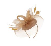 Homoyoyo Chapeau Barrette Plume Chapeaux Pour Femmes 2023 Couvre-chefs De Banquet Bandeaux Pour Femmes Casquette De Camionneur Femme Bandeau à Pince Bandes Osier Artificielles Golden