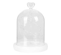 Homoyoyo Cloche en Verre avec Fleurs Éternelles Guirlande Lumineuse Intégrée Décoration Micro-Paysage 10X15 CM avec Socle Blanc Accessoire Décoratif Intérieur pour Salon et Bureau
