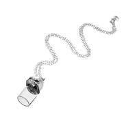Homoyoyo Collier Crâne De Roche Bijoux De Motard Pour Hommes Colliers D'urne De Chien Pour Les Cendres Collier De Flacon De Sang Collier De Cendres Pour Animaux De Compagnie Un Verre