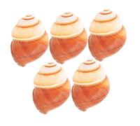 Homoyoyo Coquilles D'escargots Naturelles Robustes - 5 Pièces Escargots Cuits Au Four À La Française Coquilles D'escargots Décoratives pour