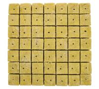 Homoyoyo Cubes de Culture 49 Pièces 40X40X40 MM Blocs Nutritifs pour Semis Hydroponique Substrat Compressé sans Terreau Pastilles de Germination Légères pour Jardinage et Pépinière en