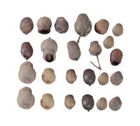 Homoyoyo Décoration de Couronne de Noël en Fruits Secs Naturels 24 Pièces Accessoires Décoratifs pour Cadre Photo Décorations de Sapin de Noël Ambiance Festive Intérieur et Table de Fête