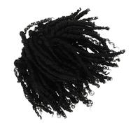 Homoyoyo Extension Cheveux Tressés Crochet pour Hommes et Femmes Perruque Courte Dreadlocks Afro Style Naturel Facile à Coiffer et Réutilisable